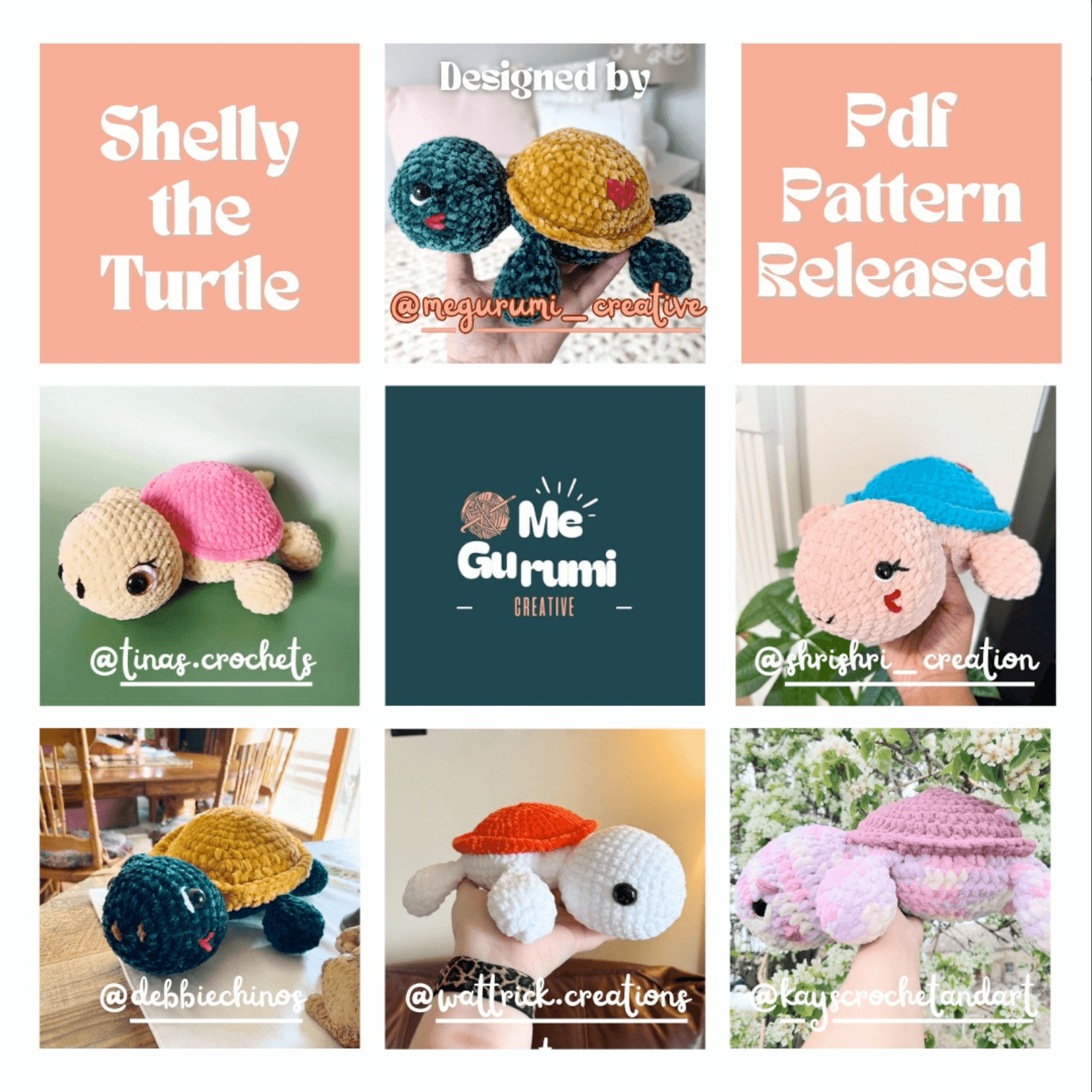 ✨ Shelly the Turtle is here! 🐢 ✨